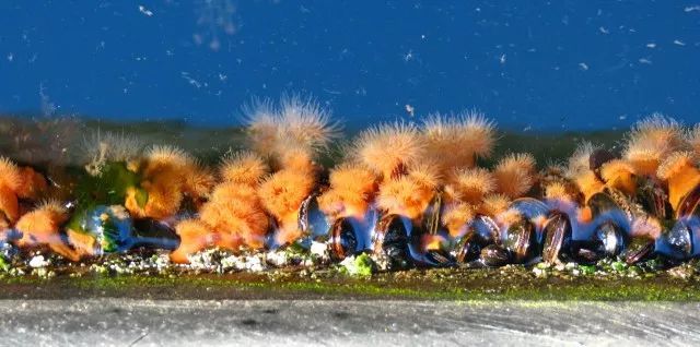 高壓清洗機,進口高壓清洗機,高壓清洗機價格,超高壓清洗機 高壓清洗機,進口高壓清洗機,高壓清洗機價格,超高壓清洗機