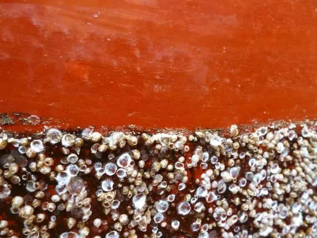 高壓清洗機,進口高壓清洗機,高壓清洗機價格,超高壓清洗機 高壓清洗機,進口高壓清洗機,高壓清洗機價格,超高壓清洗機