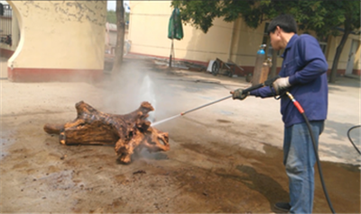 根雕清洗2.png 根雕清洗2.png