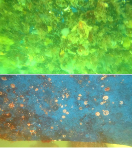 高壓清洗機(jī),進(jìn)口高壓清洗機(jī),高壓清洗機(jī)價格,超高壓清洗機(jī)