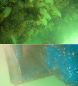 高壓清洗機(jī),進(jìn)口高壓清洗機(jī),高壓清洗機(jī)價格,超高壓清洗機(jī)