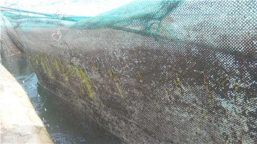 高壓清洗機,進口高壓清洗機,高壓清洗機價格,超高壓清洗機 高壓清洗機,進口高壓清洗機,高壓清洗機價格,超高壓清洗機