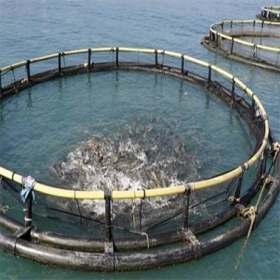 空化射流水下清洗設備用于水下攔截網(wǎng)清理