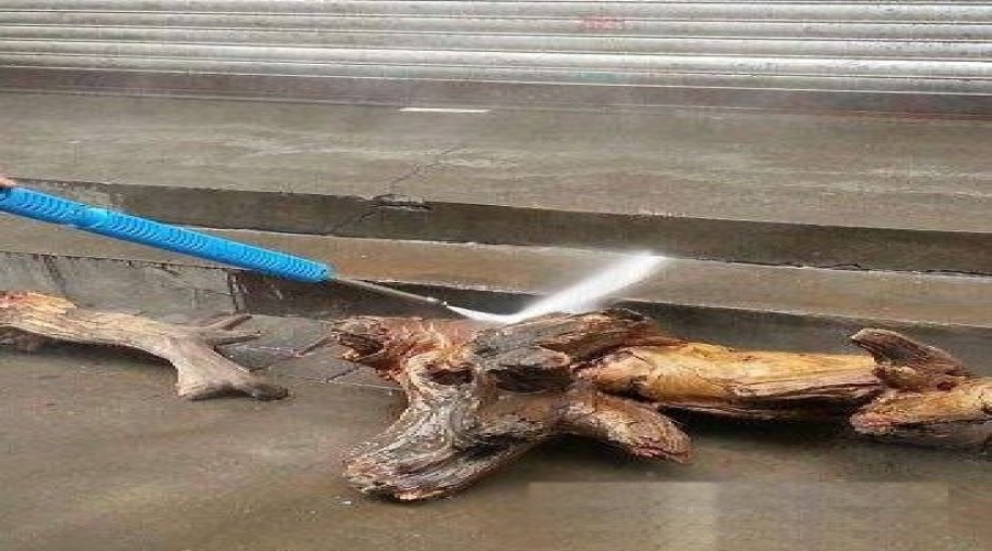 根雕清洗去樹(shù)皮